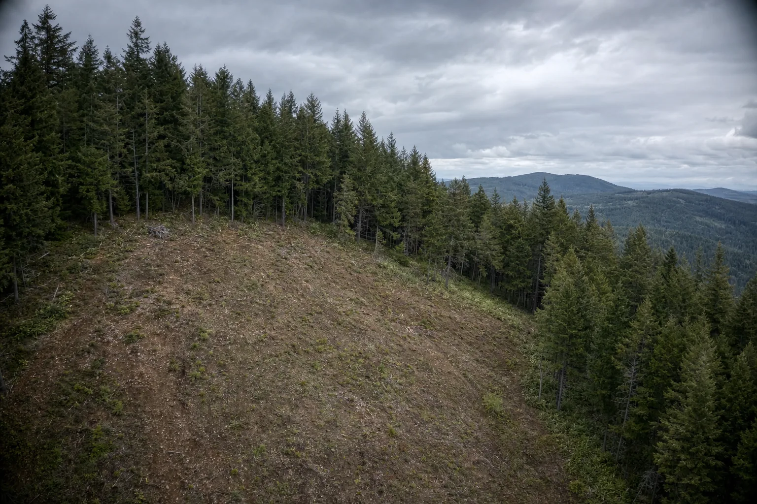 What Professional Services You Actually Need to Build a Home on Your Own Land